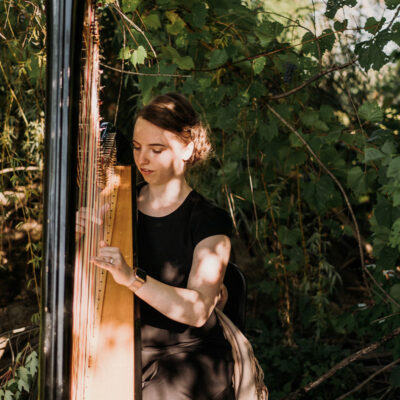 Hannah Warren Harpist - Blog Post - Can a Harpist Play at My Venue