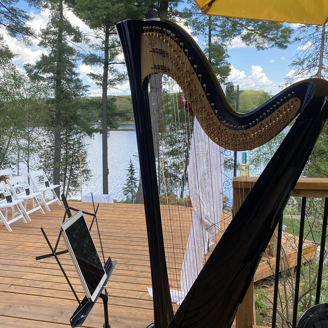 Hannah Warren Harpist - Pierce and Carrie-Lyn's Private Residence Wedding 3